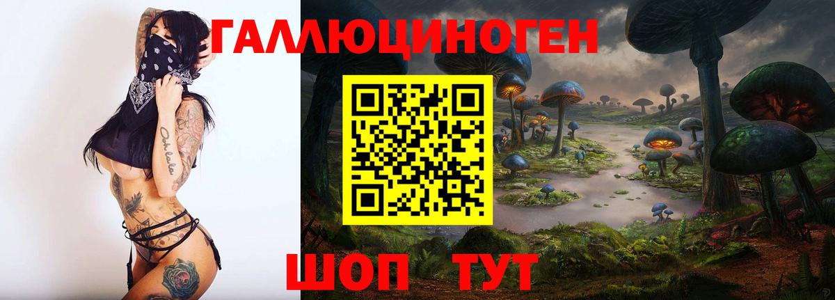 Осинники  Галлюциногенные грибы ЛСД  Вход с VPN  Галлюциногенные грибы Cubensis 