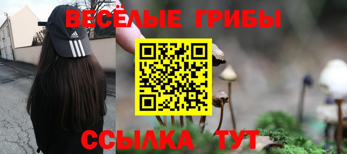 Псилоцибиновые грибы MAGIC MUSHROOMS Осинники